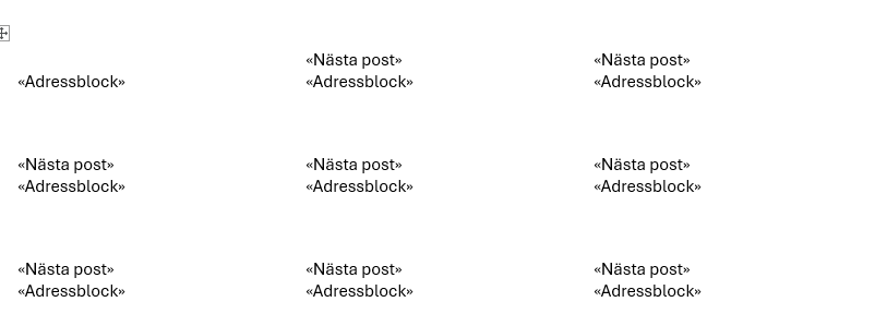 Word‑etiketter med adressblock och fältet ”Nästa post” i dokumentkoppling